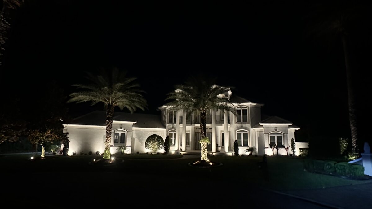 Landscape lighting on palm trees at a Palm Coast, FL home at night