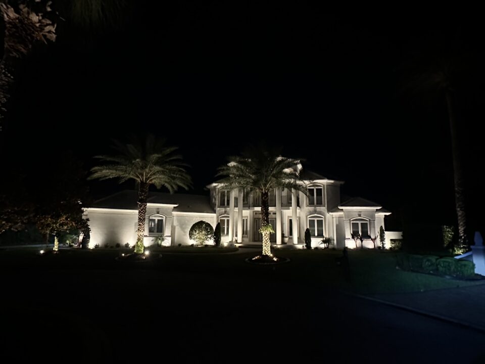 Landscape lighting on palm trees at a Palm Coast, FL home at night