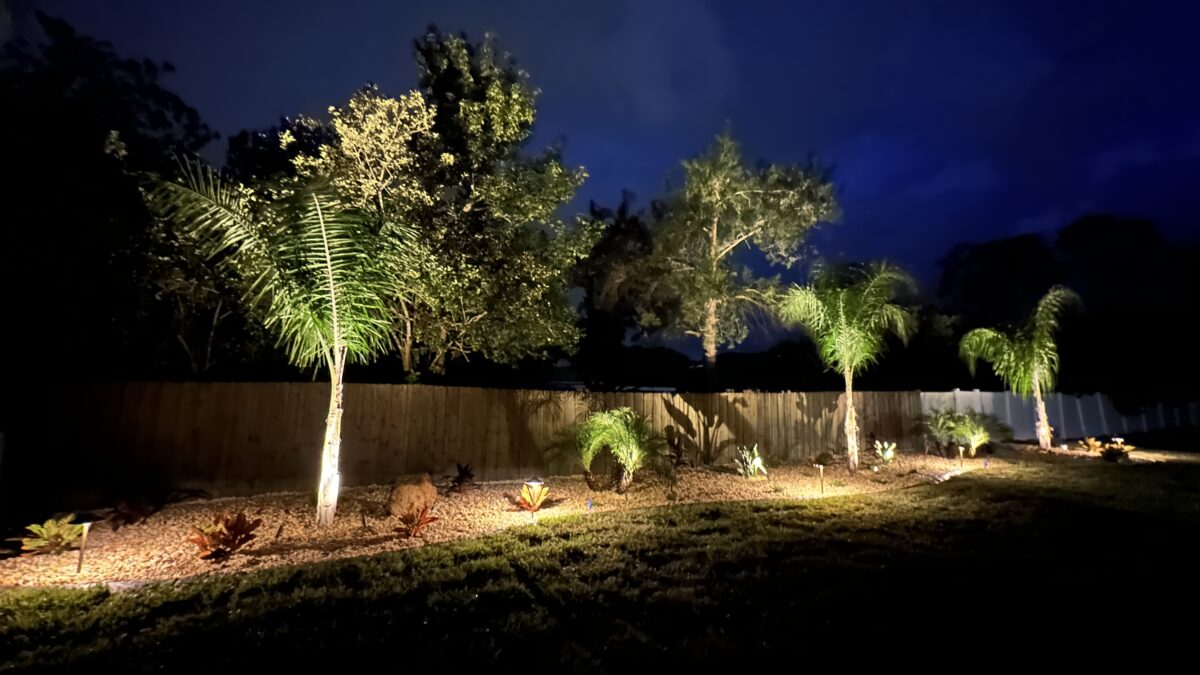 Backyard landscape beds with palms and uplighting along a privacy fence at a Palm Coast, FL home