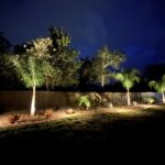 Backyard landscape beds with palms and uplighting along a privacy fence at a Palm Coast, FL home
