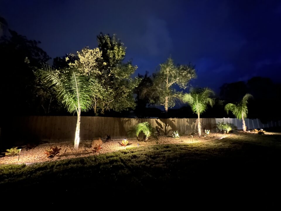 Backyard landscape beds with palms and uplighting along a privacy fence at a Palm Coast, FL home
